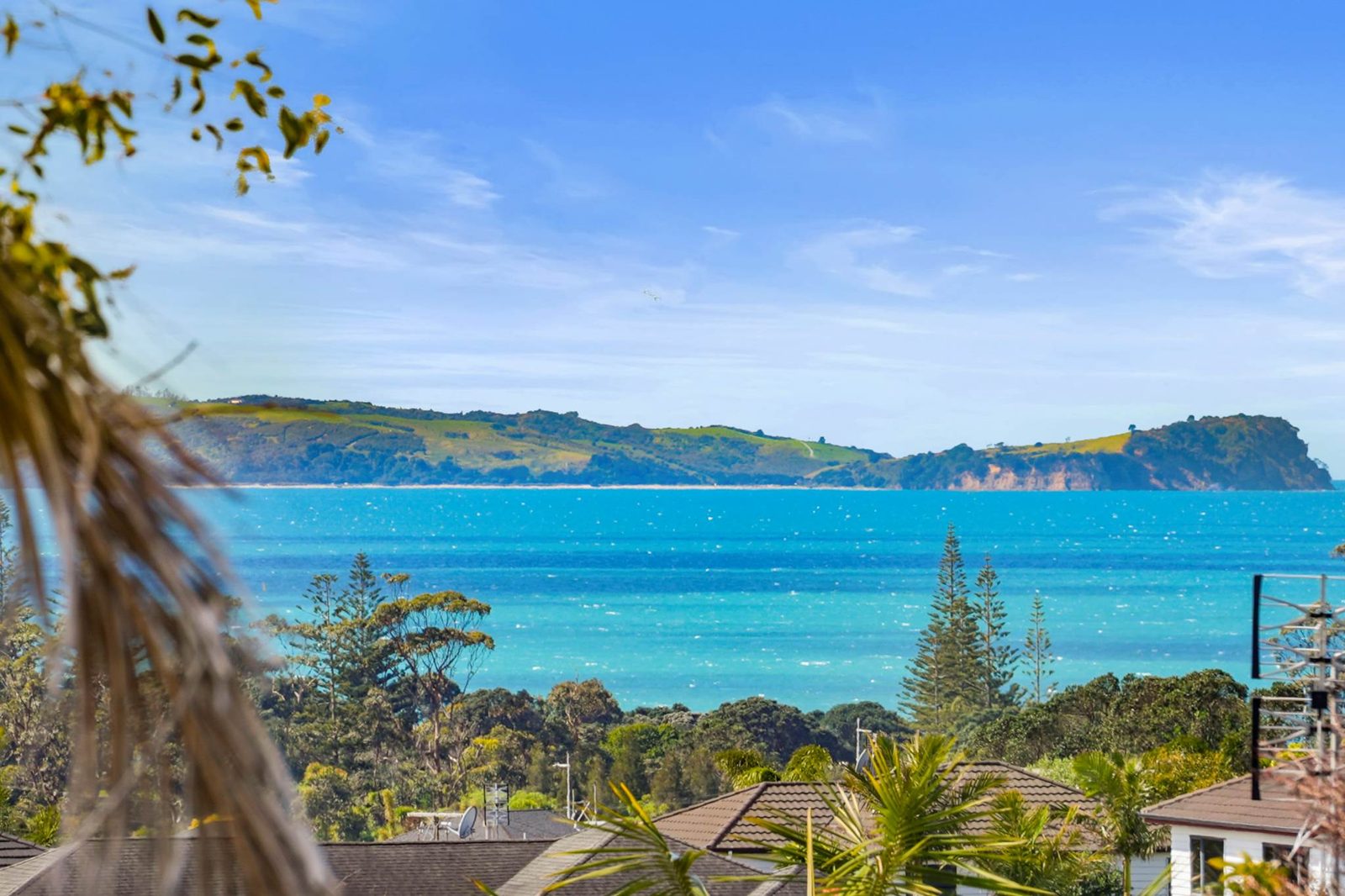 155 Stredwick Drive, Torbay, photo 3