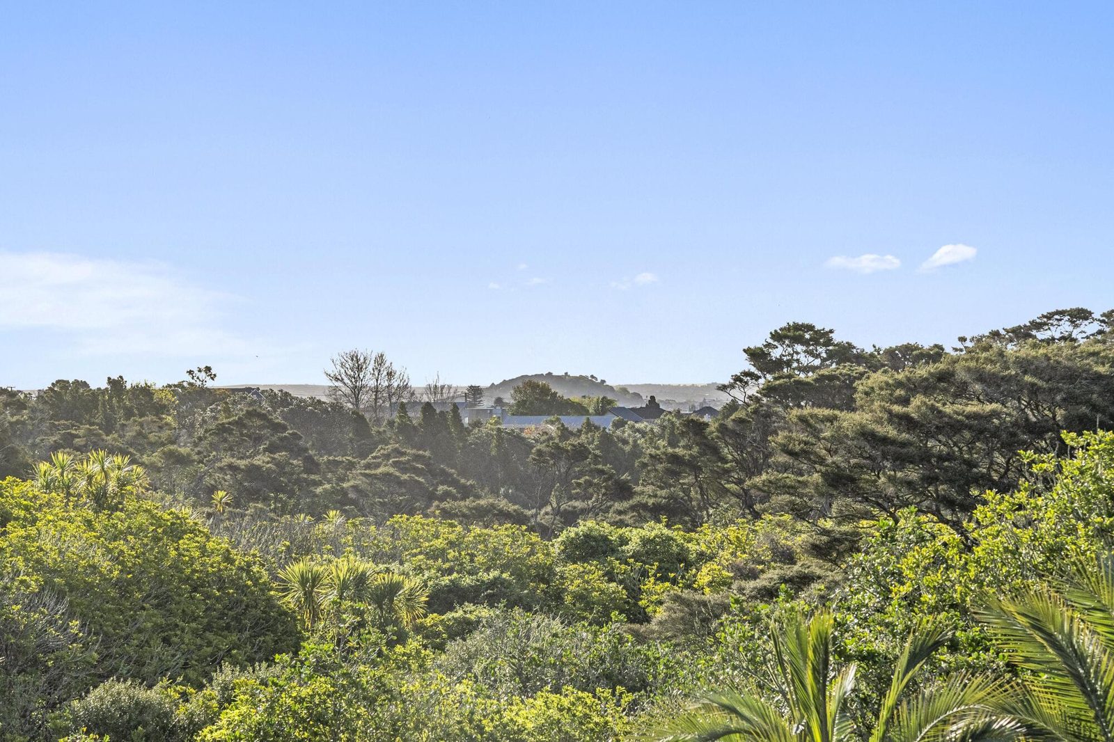 51 Fern Glen Road, Saint Heliers, photo 2