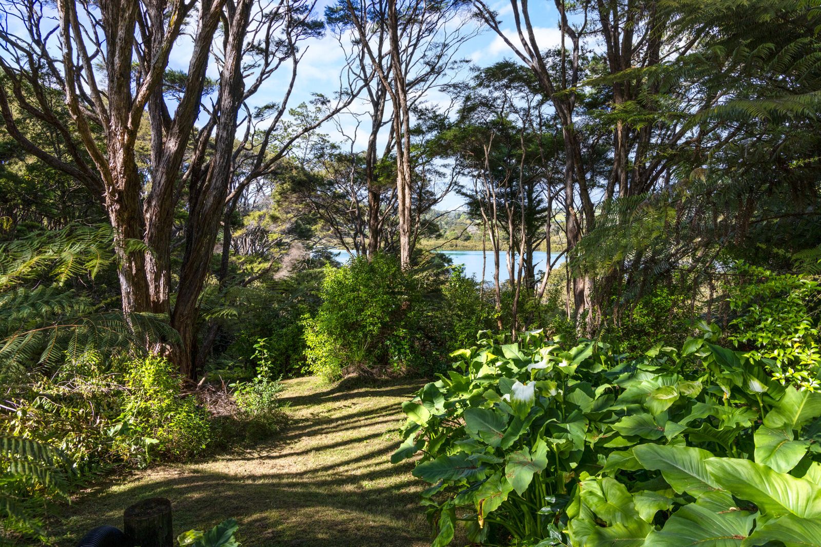 24a Green Road, Matakana, photo 5