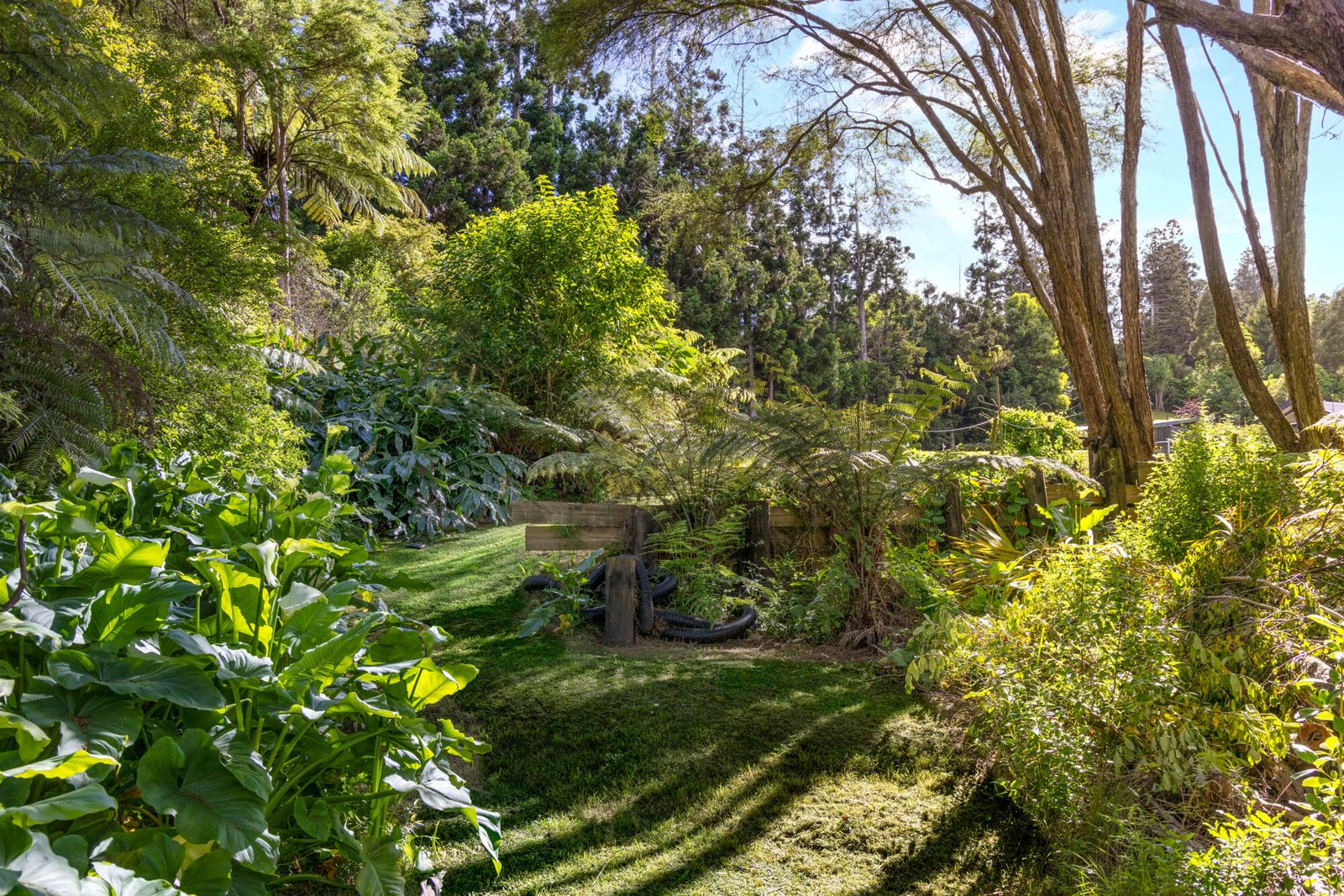24a Green Road, Matakana, photo 6