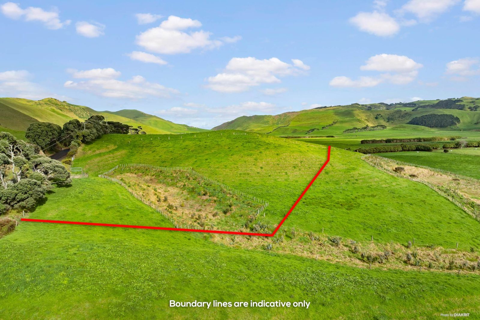 116 West Coast Road, Awhitu, photo 6