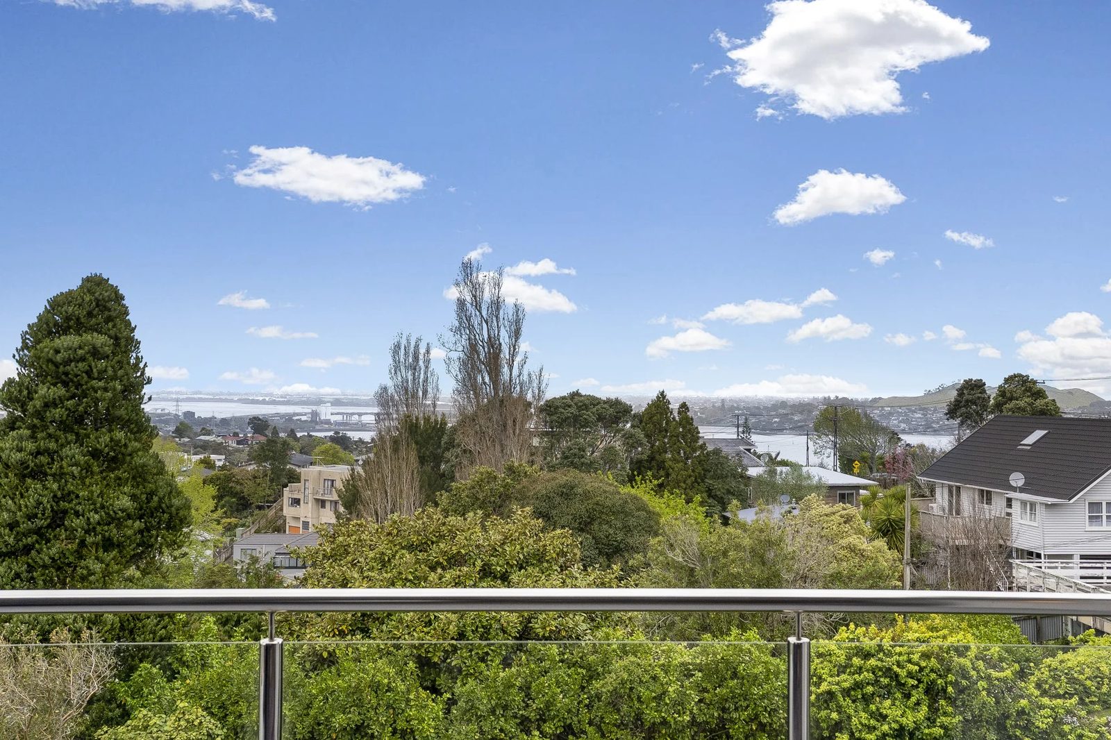 40 Carlton Street, Hillsborough, photo 16