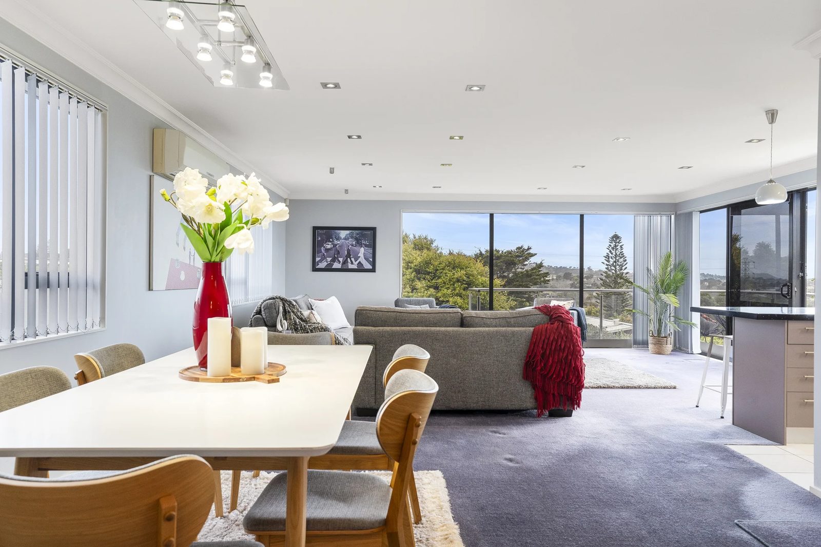 40 Carlton Street, Hillsborough, photo 3