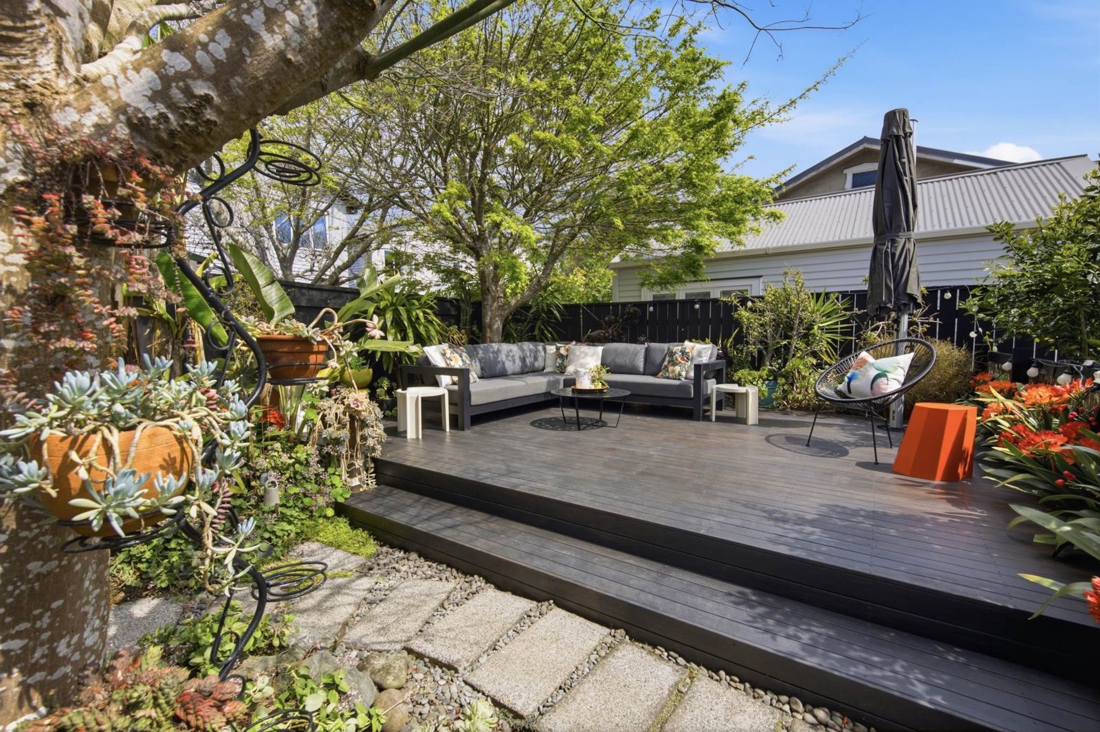 54 Wingate Street, Avondale, photo 6