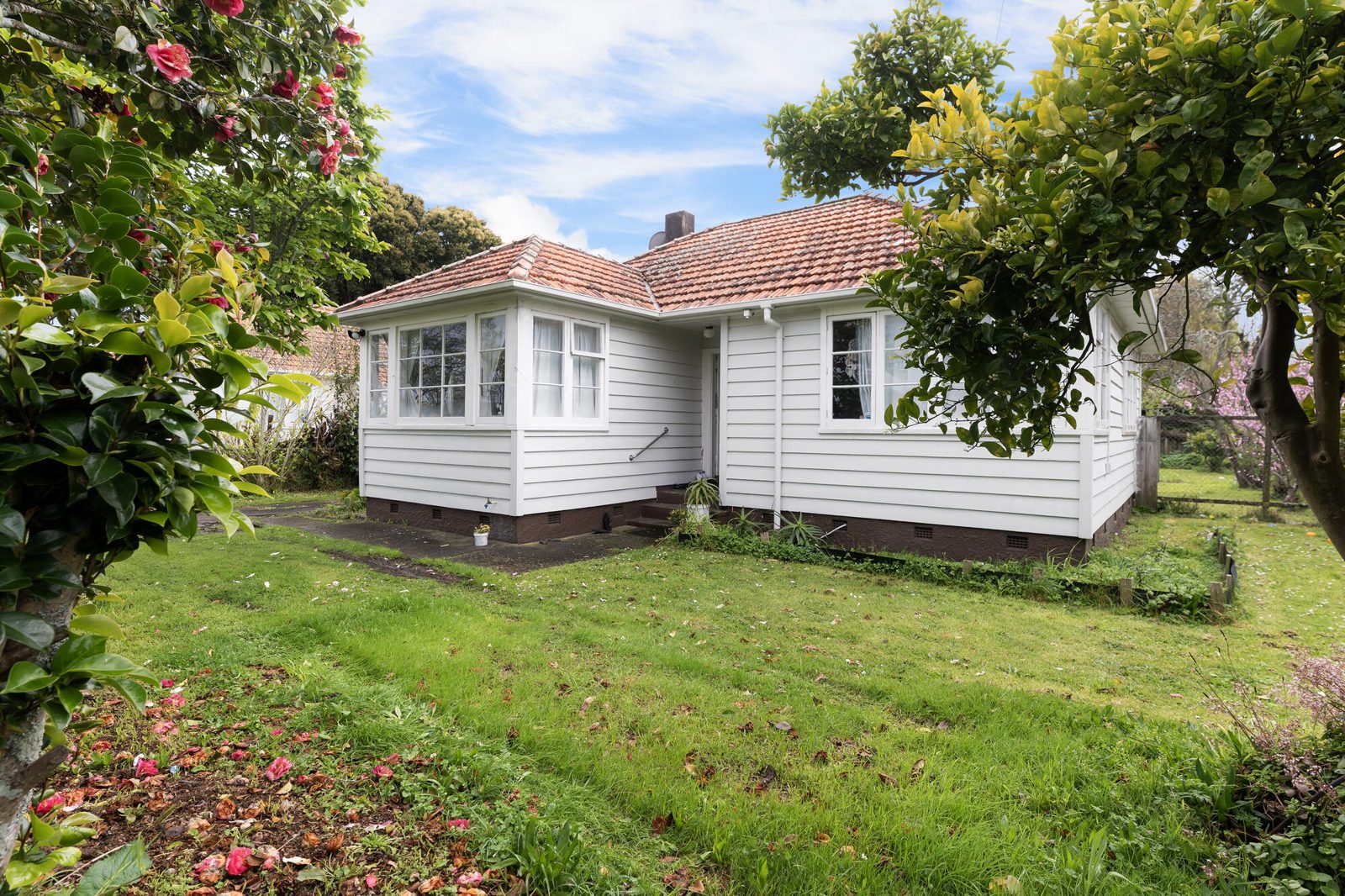 37 O'Donnell Avenue, Mount Roskill, photo 3