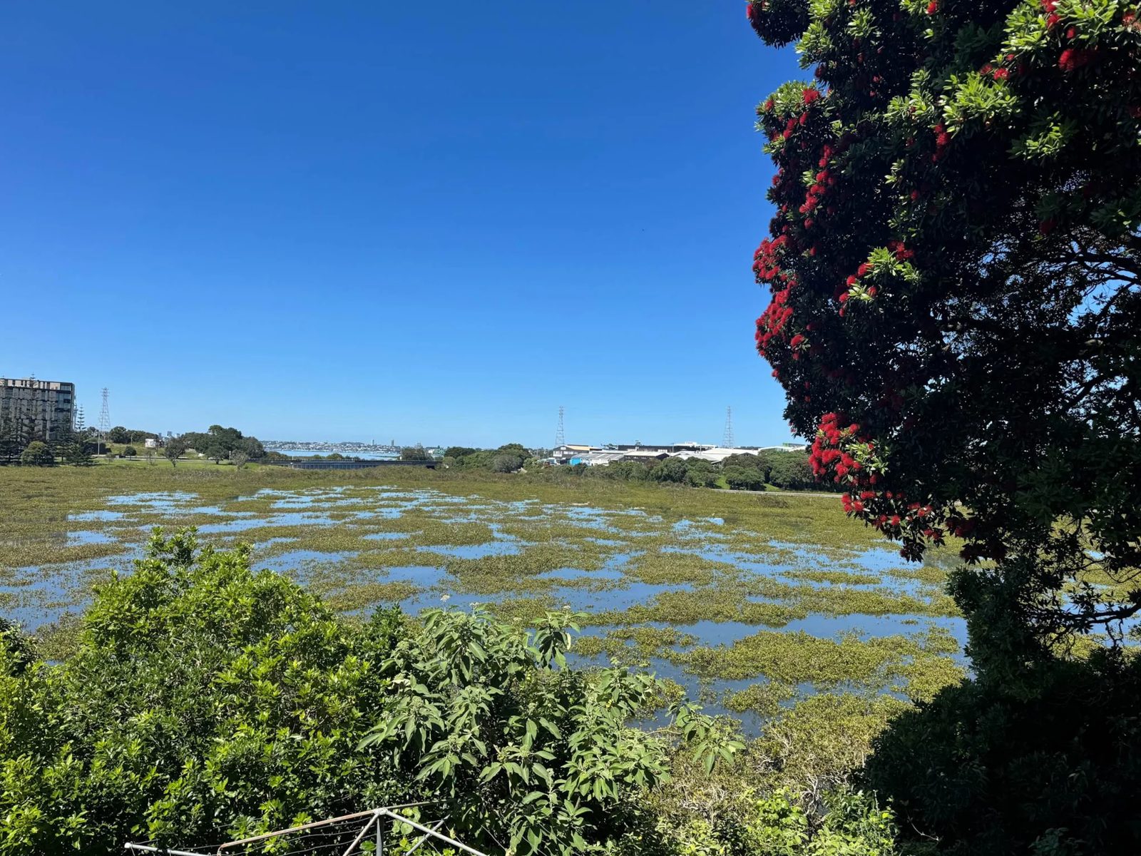1/47 Bracken Avenue, Takapuna, photo 13