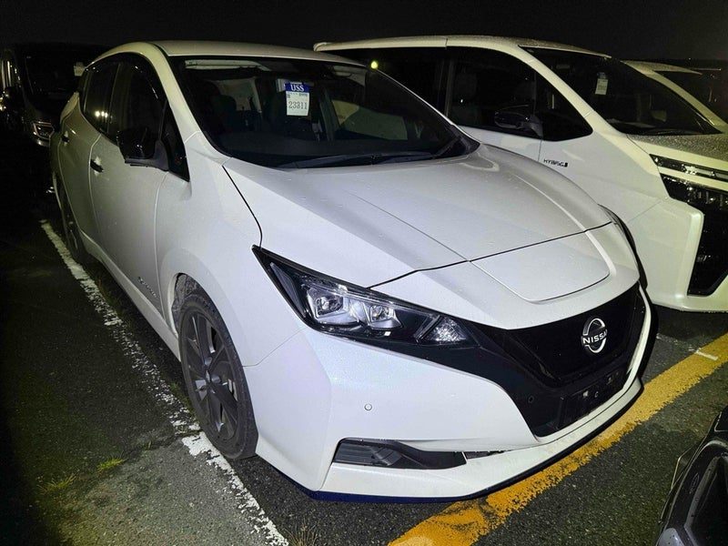 2021 Nissan Leaf e+ 62kWh Urban Chrome Pro Pilot, photo 2