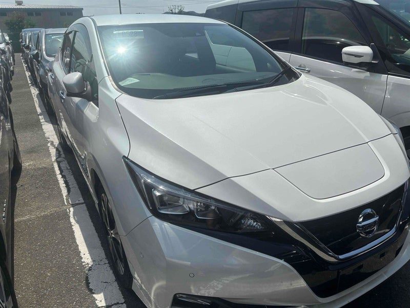 2019 Nissan Leaf e+ X 62kWh SOH86.3% R/Camera, photo 2
