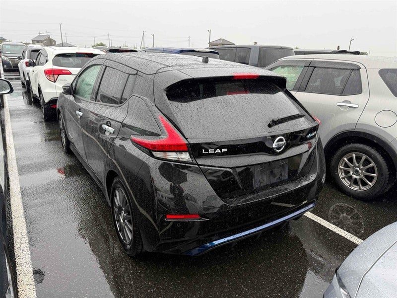 2018 Nissan Leaf X PRO-PILOT SOH88.69% Grade4.5, photo 2