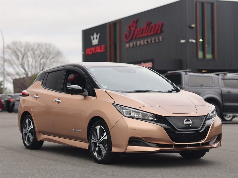 2021 Nissan Leaf PRO PILOT
