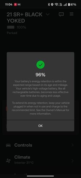 2021 Tesla Model 3 SR+ LFP, photo 2