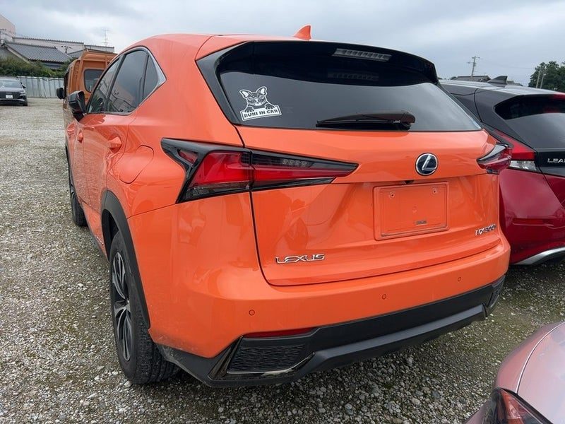 2019 Lexus NX 300h Hybrid! F-Sport! (in transit), photo 2