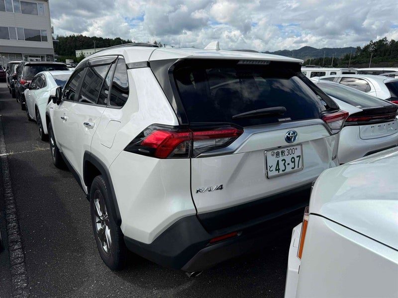 2020 Toyota RAV4 HYBRID 4WD G (LEATHER), photo 3