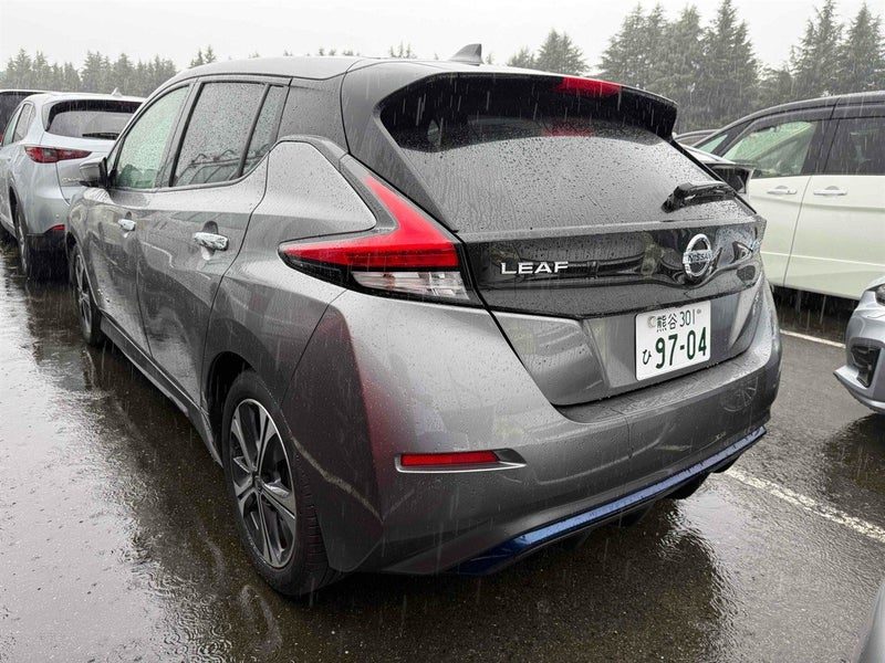 2020 Nissan Leaf 40 kW/h X, photo 3