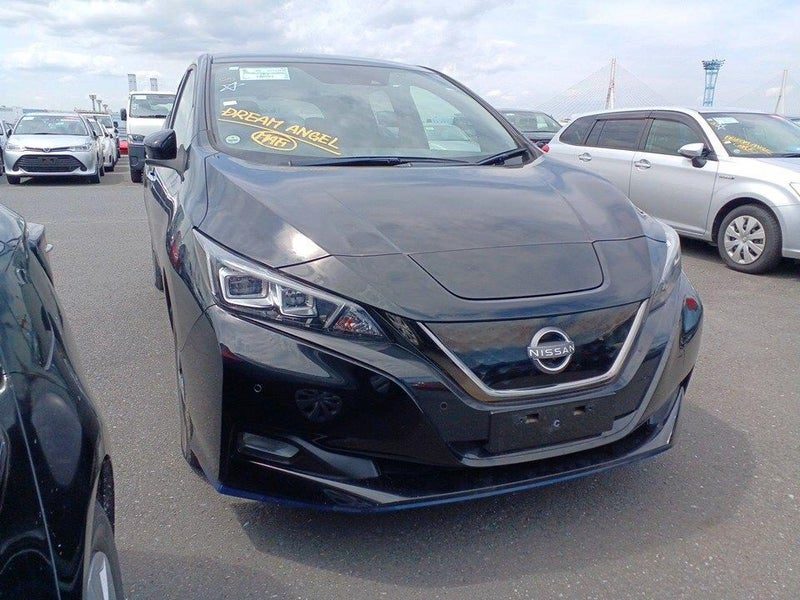 2021 Nissan Leaf X