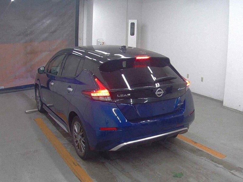 2021 Nissan Leaf Autech, photo 3