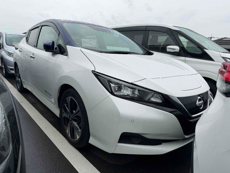 2019 Nissan Leaf SV
