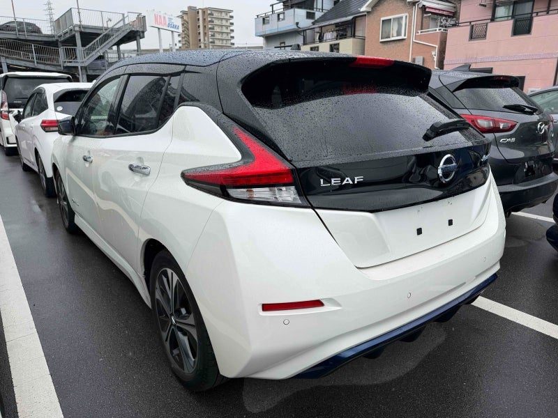 2019 Nissan Leaf SV, photo 2