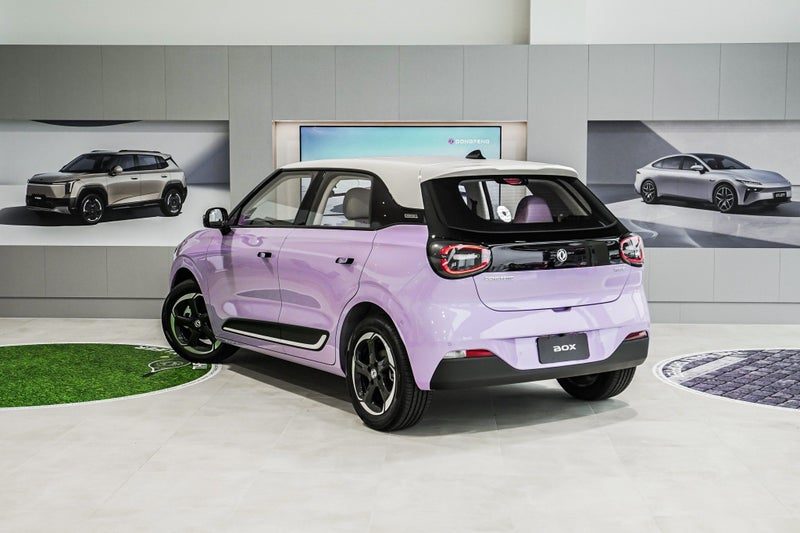 2026 Dongfeng Box 44KWH/EV/AT, photo 3