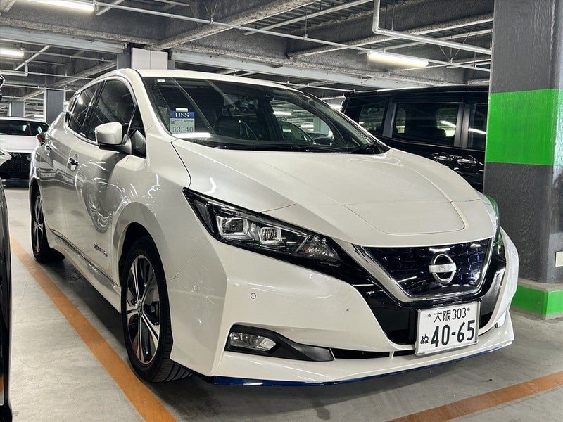 2020 Nissan Leaf e+ G (62kWh)