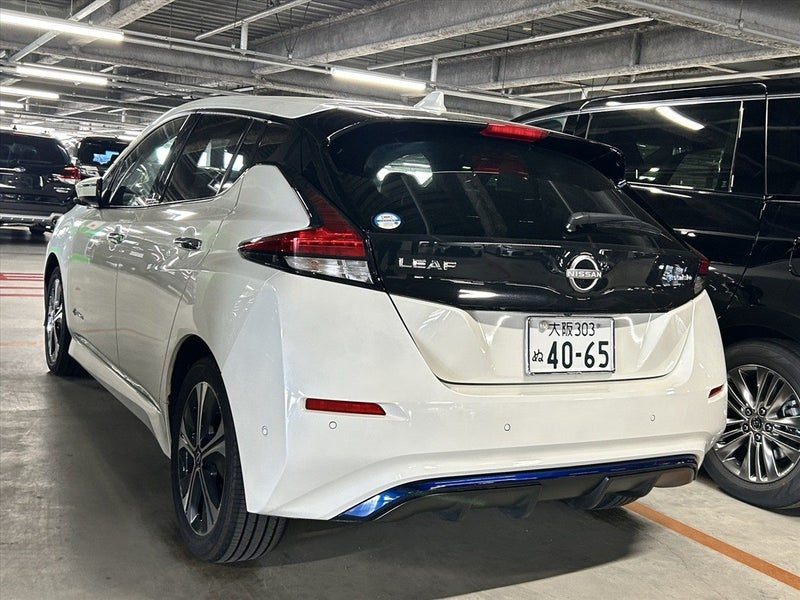 2020 Nissan Leaf e+ G (62kWh), photo 2
