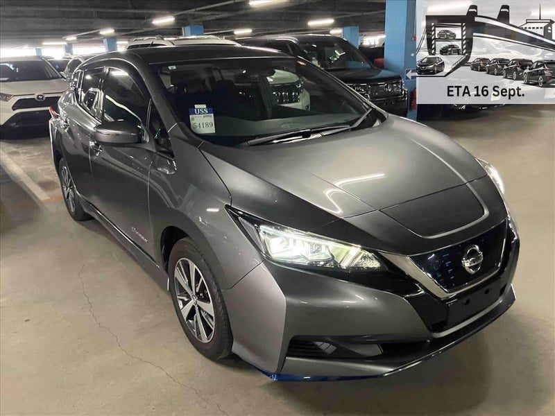 2019 Nissan Leaf e+ X (62kWh), main photo