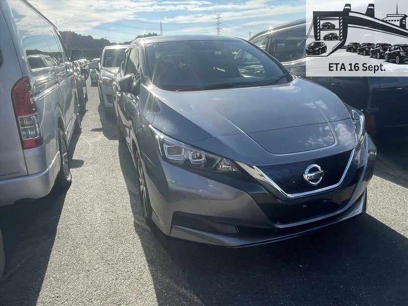 2019 Nissan Leaf e+ X (62kWh), photo 2