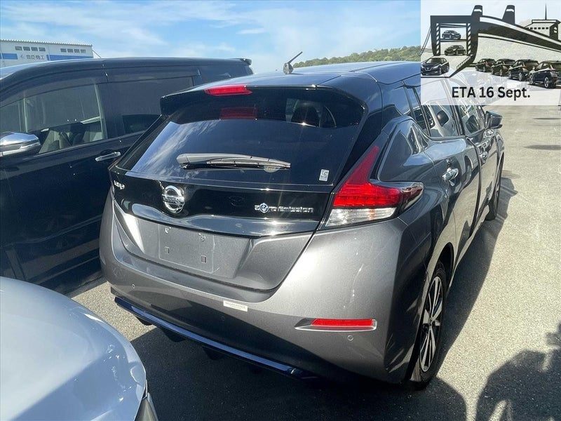 2019 Nissan Leaf e+ X (62kWh), photo 3